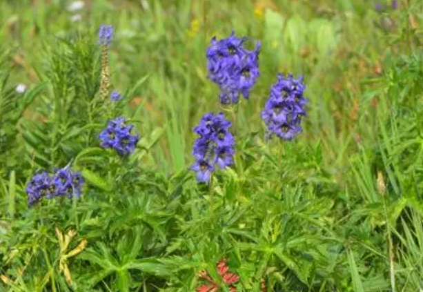 没有围墙的实验室便是一种心连心幸福教育的新式教育实践 没有围墙的实验室便是一种心连心幸福教育的新式教育实践